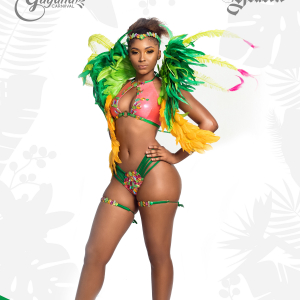 Bartica-backline-option-1