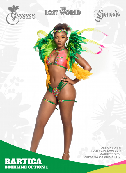 Bartica-backline-option-1