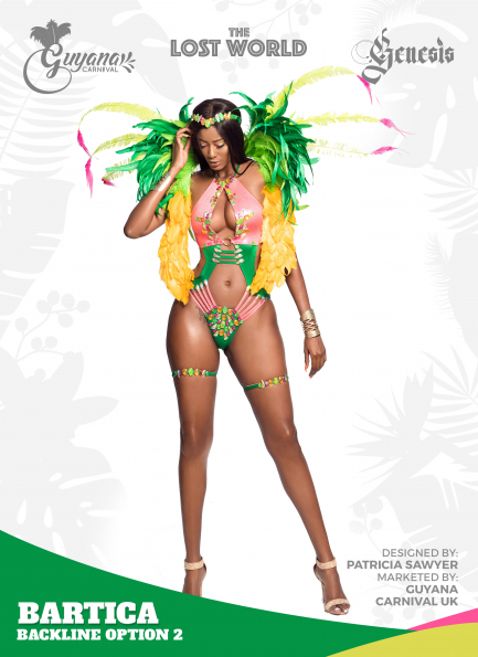 Bartica-backline-option-2