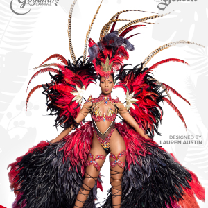 2018.12.08 Carnival Costumes